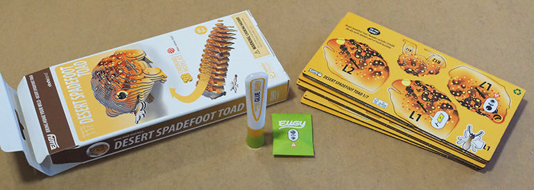 EUGY 3D - Desert Toad