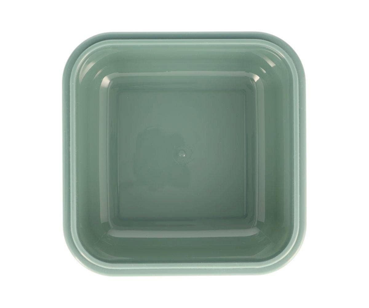 Large Dinosaur World Lunchbox