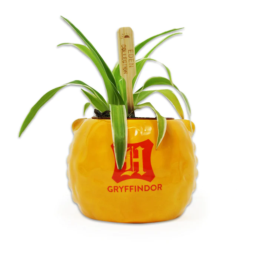 Pot Harry Potter - Gryffondor