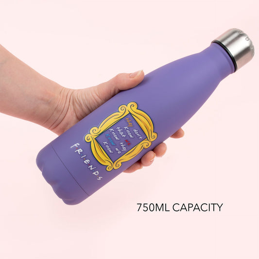 Stainless steel water bottle – Friends 750ml – purple