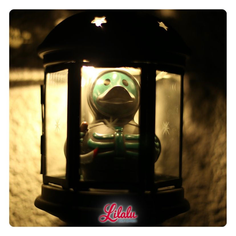 Canard Scary - vue 7