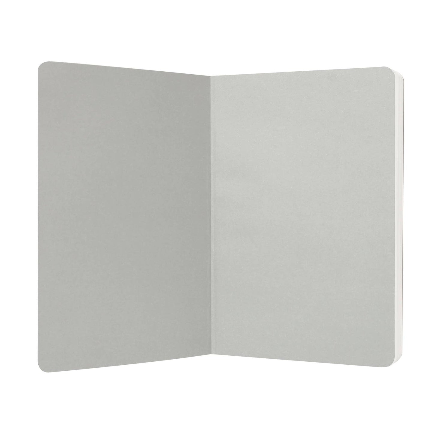 Harry Potter A5 Softcover Notebook - Ravenclaw