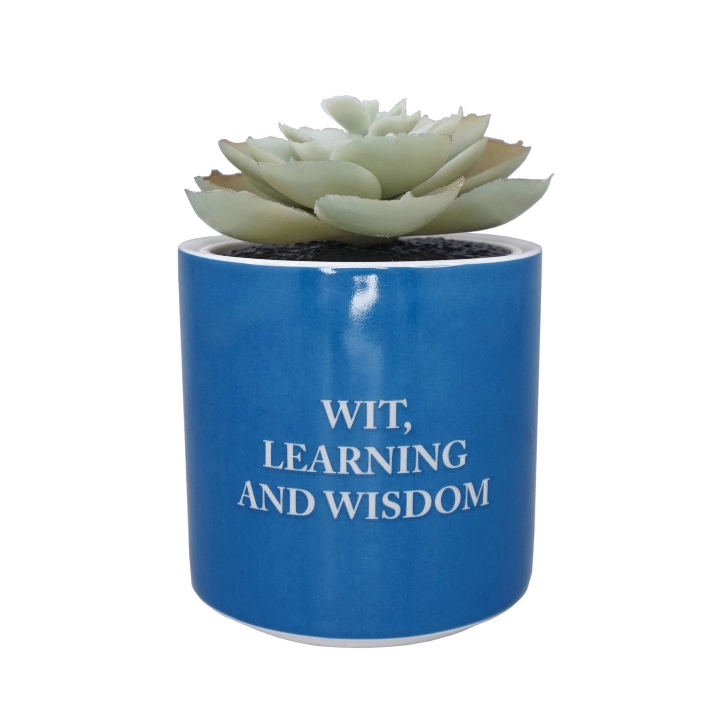 Plante artificielle en pot Harry Potter - Serdaigle 6,5 cm