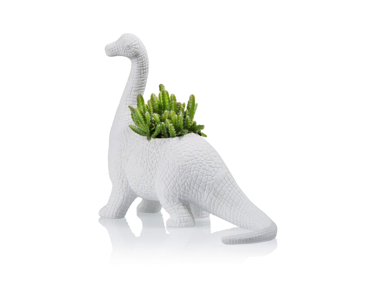 White porcelain Plantosaurus dinosaur plant pot with succulent