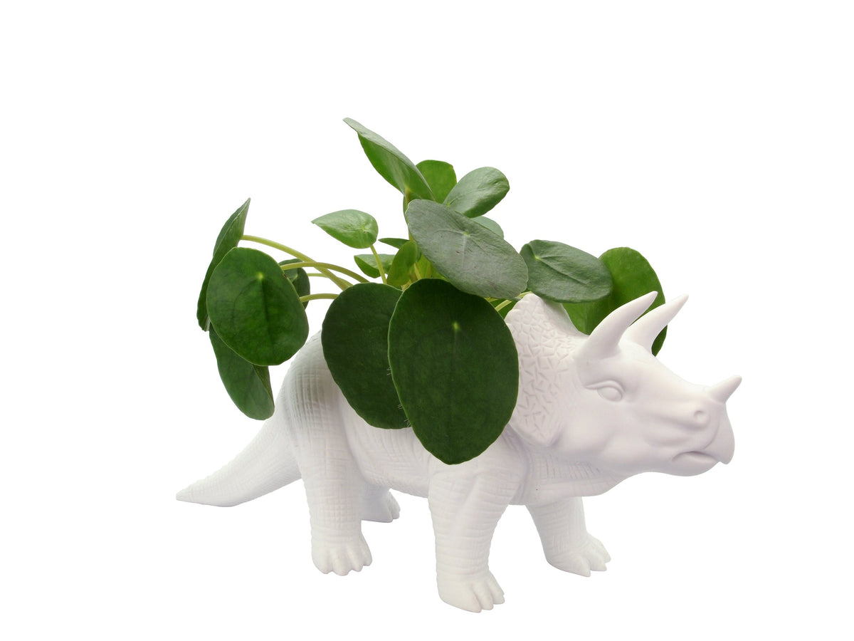 Tricerapot Planter