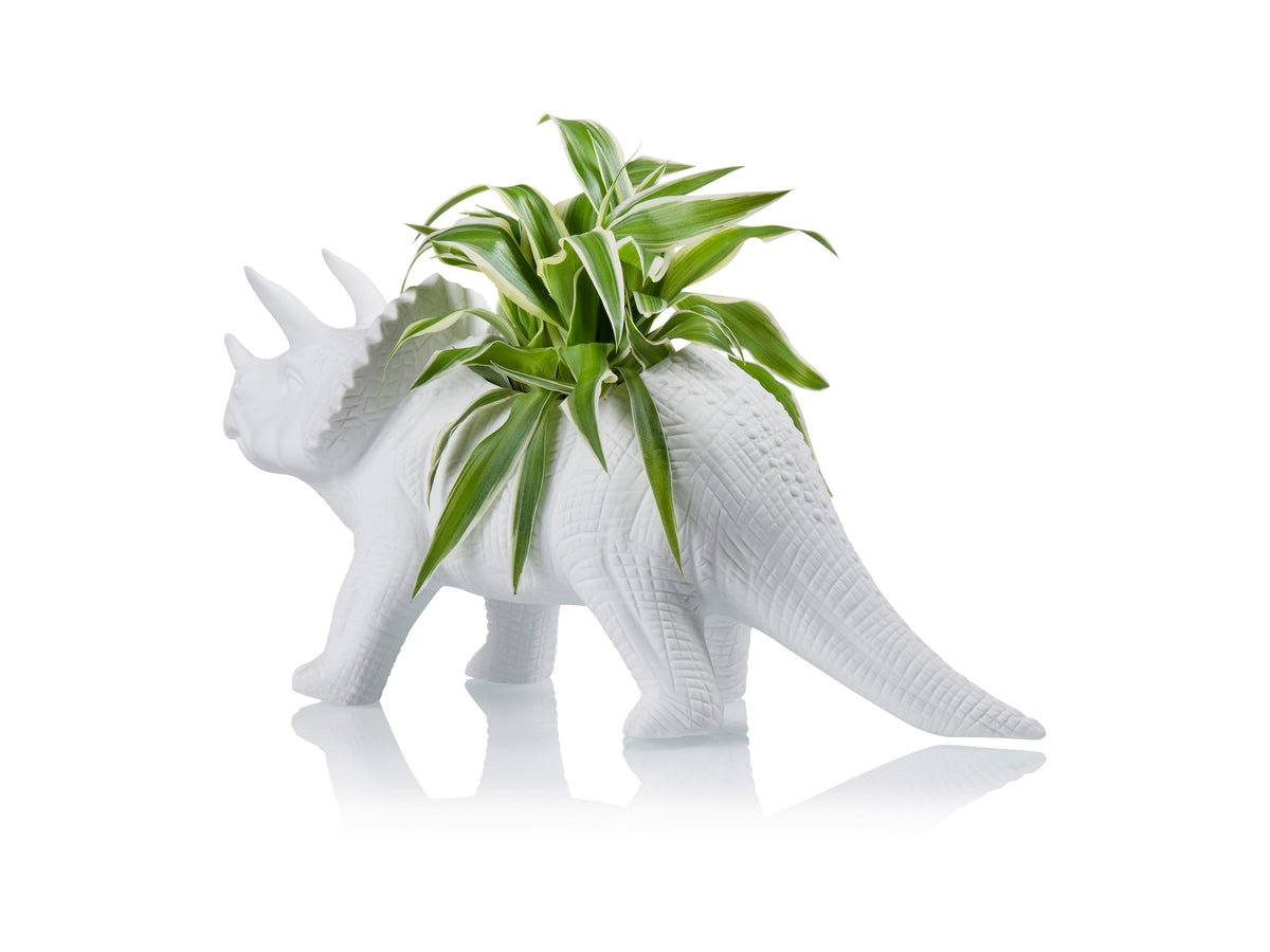 Tricerapot Planter