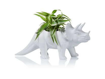 Tricerapot Planter