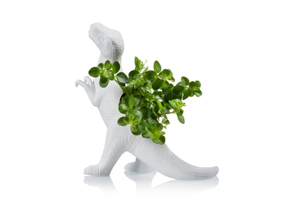 Plantosaurus Rex Planter