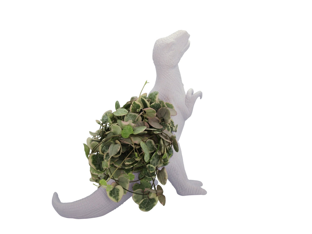 Plantosaurus Rex Planter