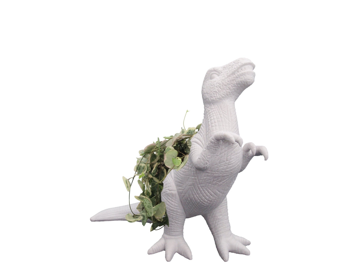 Plantosaurus Rex Planter