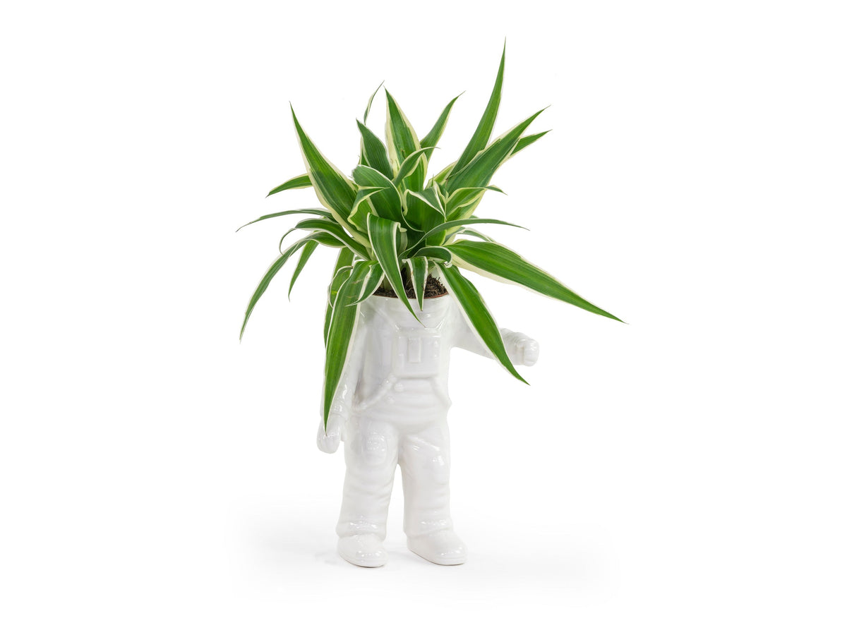 Astronaut Planter Small