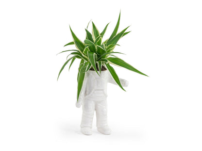 Astronaut Planter Small