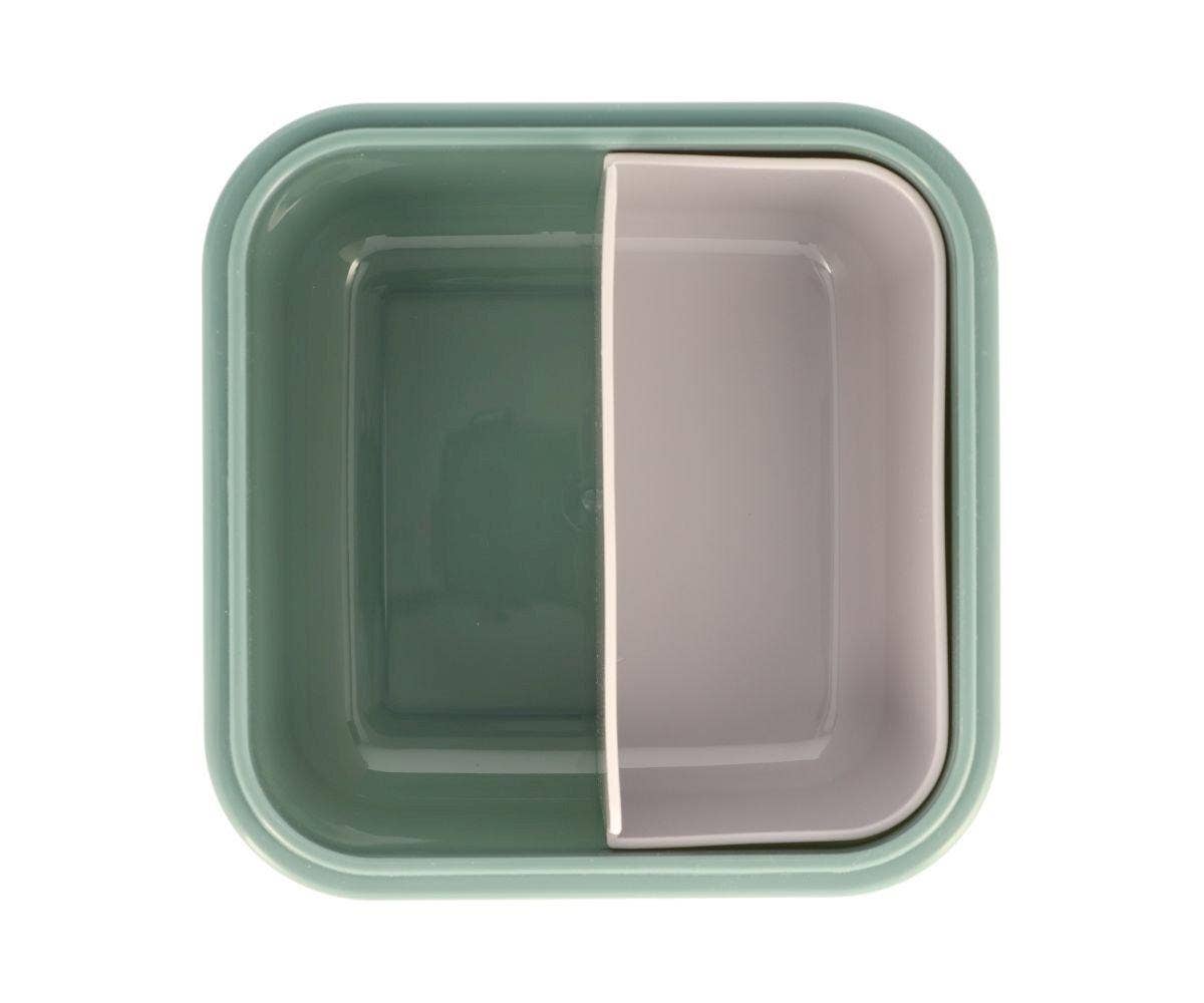 Large Dinosaur World Lunchbox