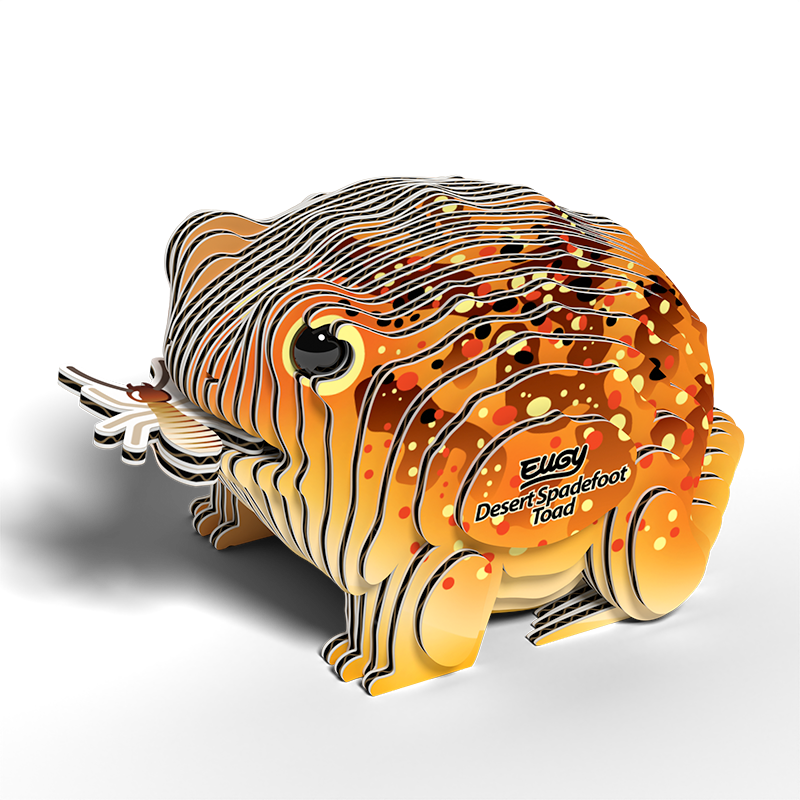 EUGY 3D - Desert Toad