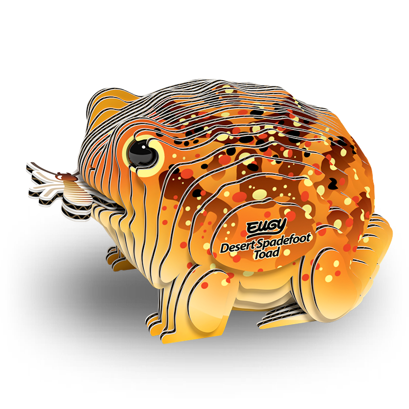 EUGY 3D - Desert Toad