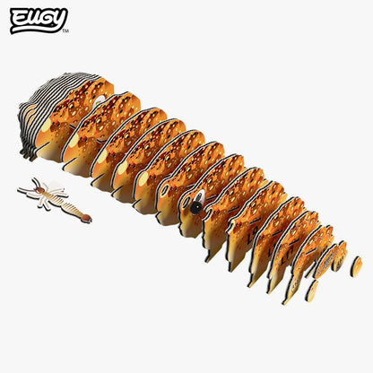 EUGY 3D - Desert Toad