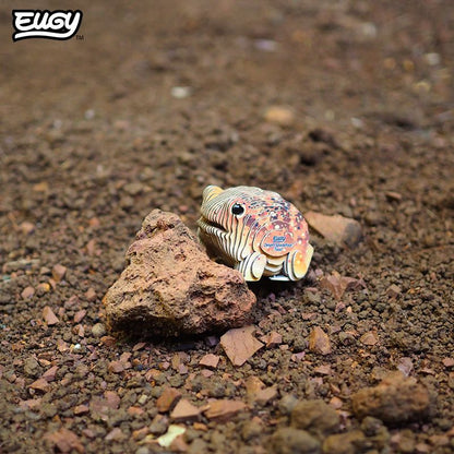 EUGY 3D - Desert Toad