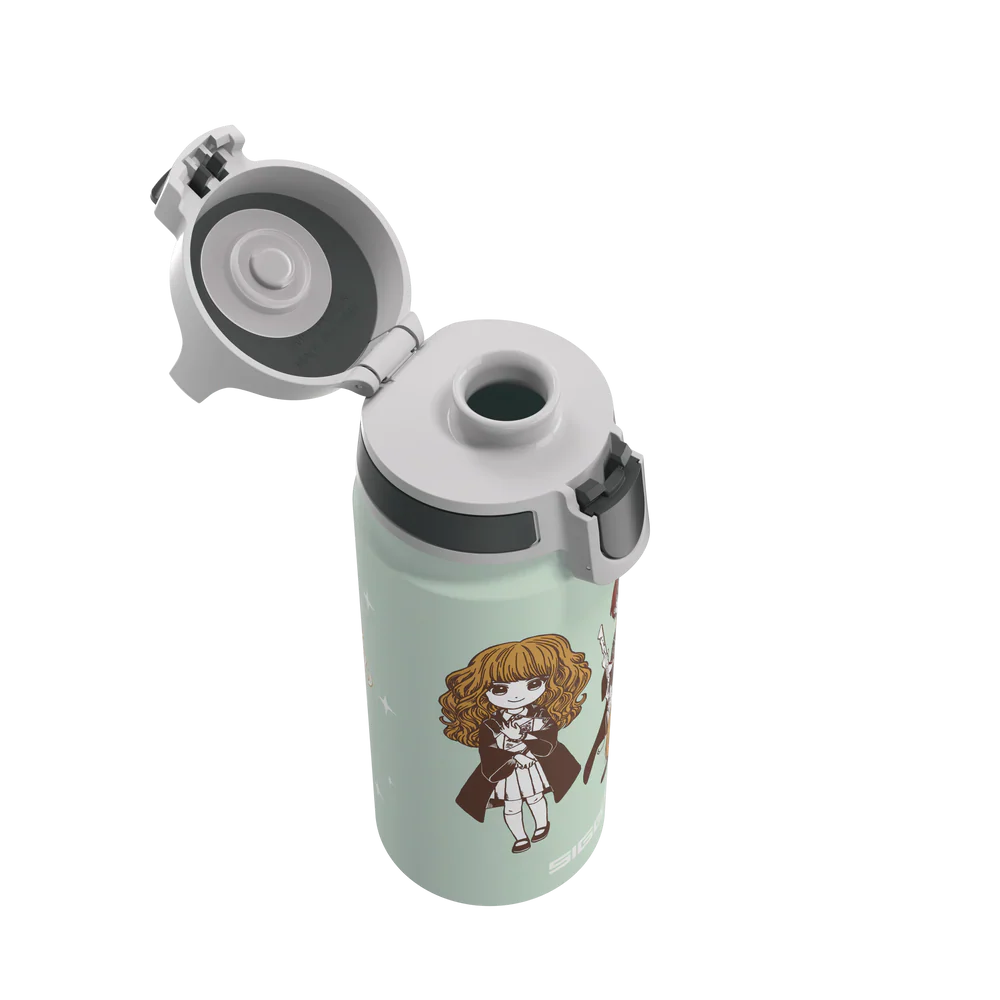 WMB ONE Kids Harry Potter Stand Together 0.6 L Water Bottle 