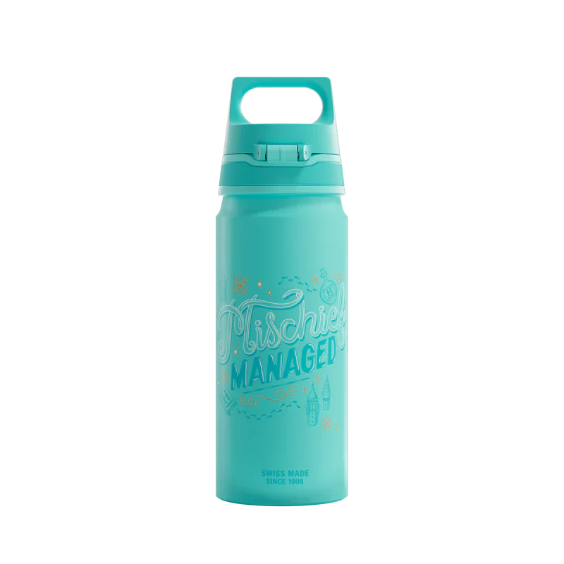 WMB ONE Kids Harry Potter 0.6 L Water Bottle 