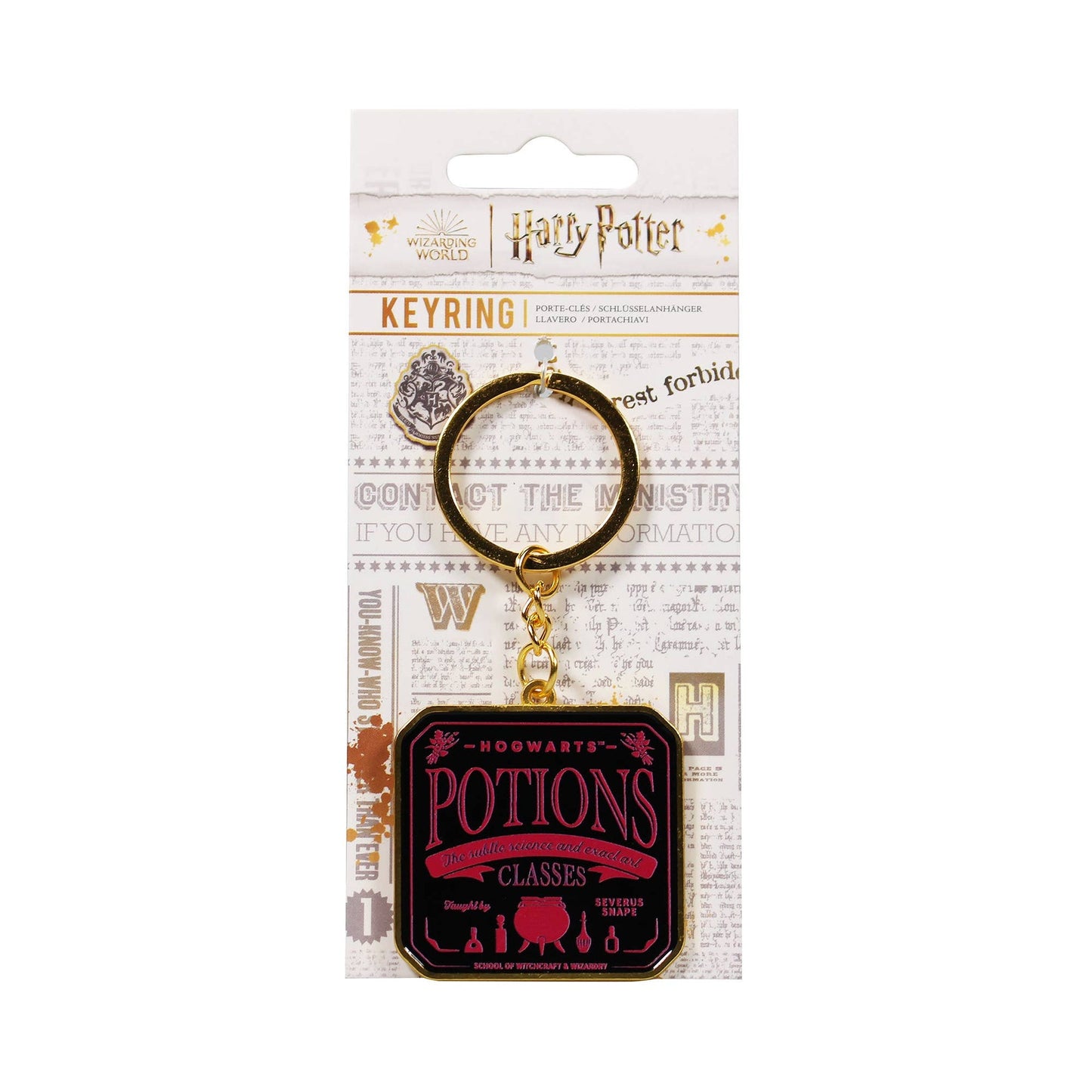 Porte-clés Harry Potter - avec carte d'en-tête Potions