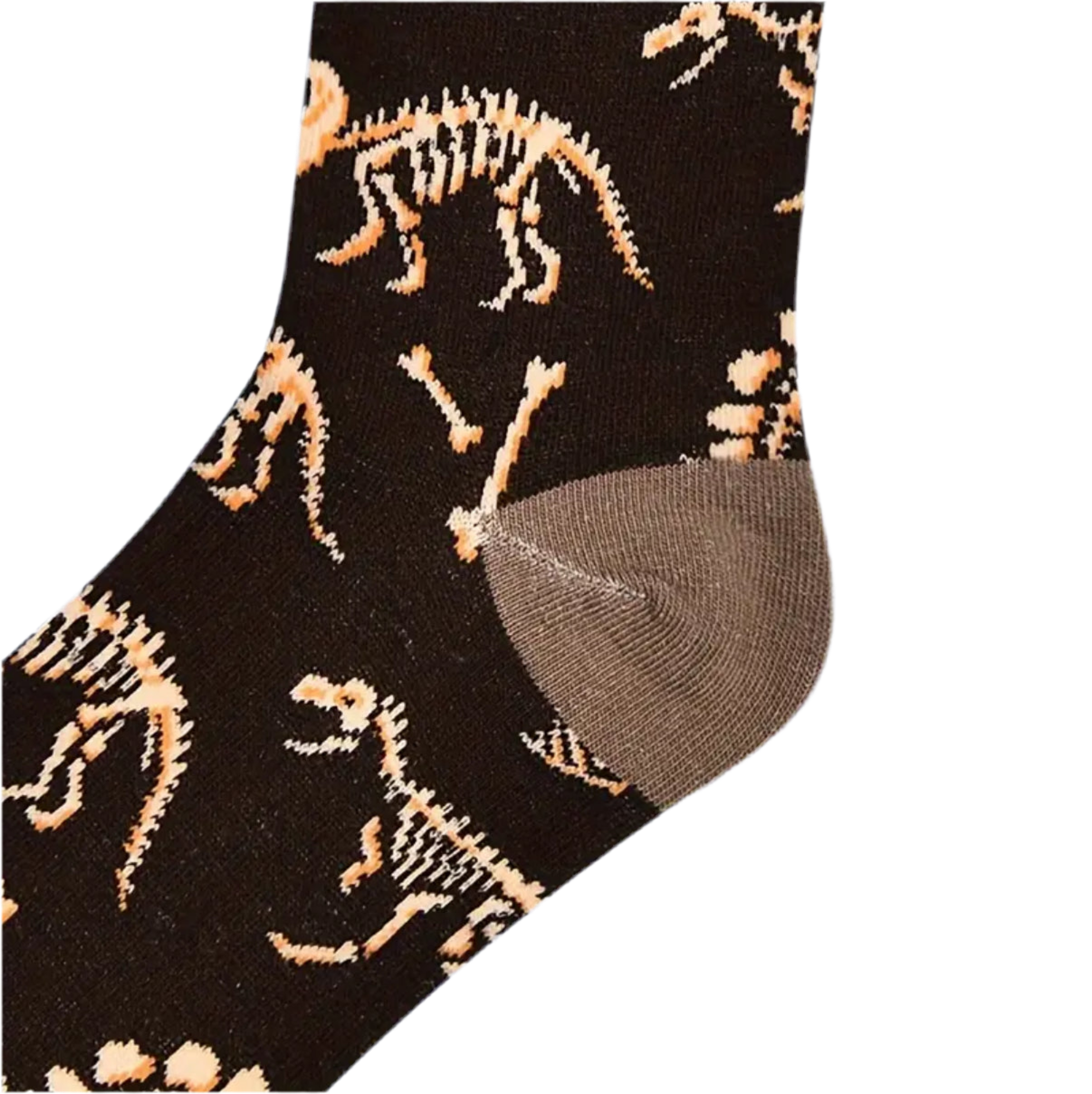 Chaussettes Fossiles de Dinosaures