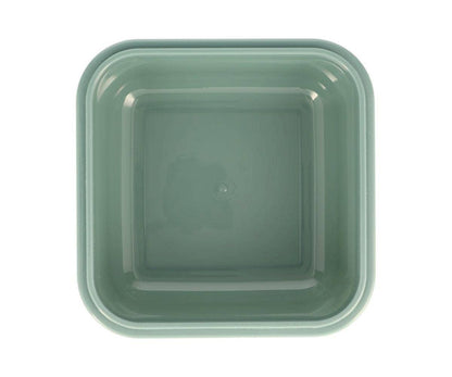 Large Dinosaur World Lunchbox