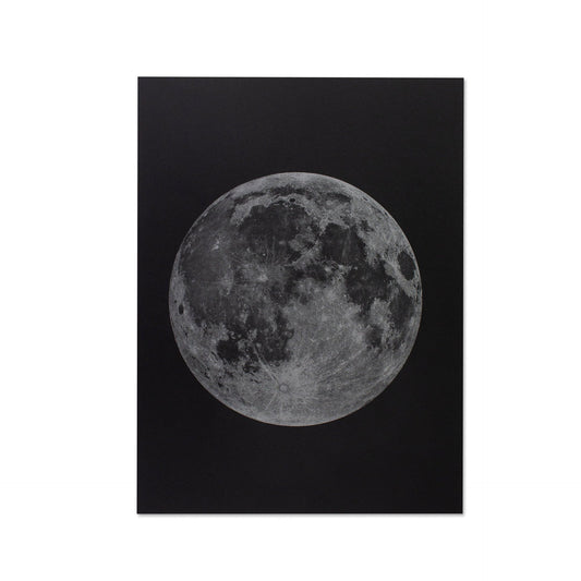 Artprint Lune – Donkey Products