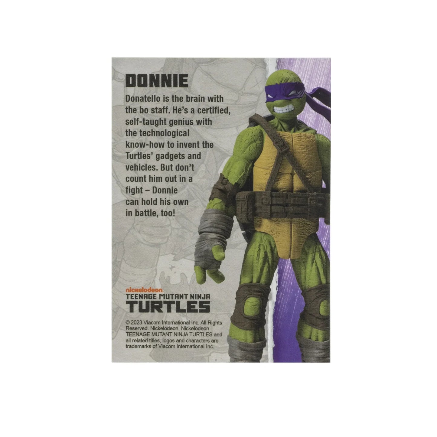 BST AXN Donatello (IDW Comics)