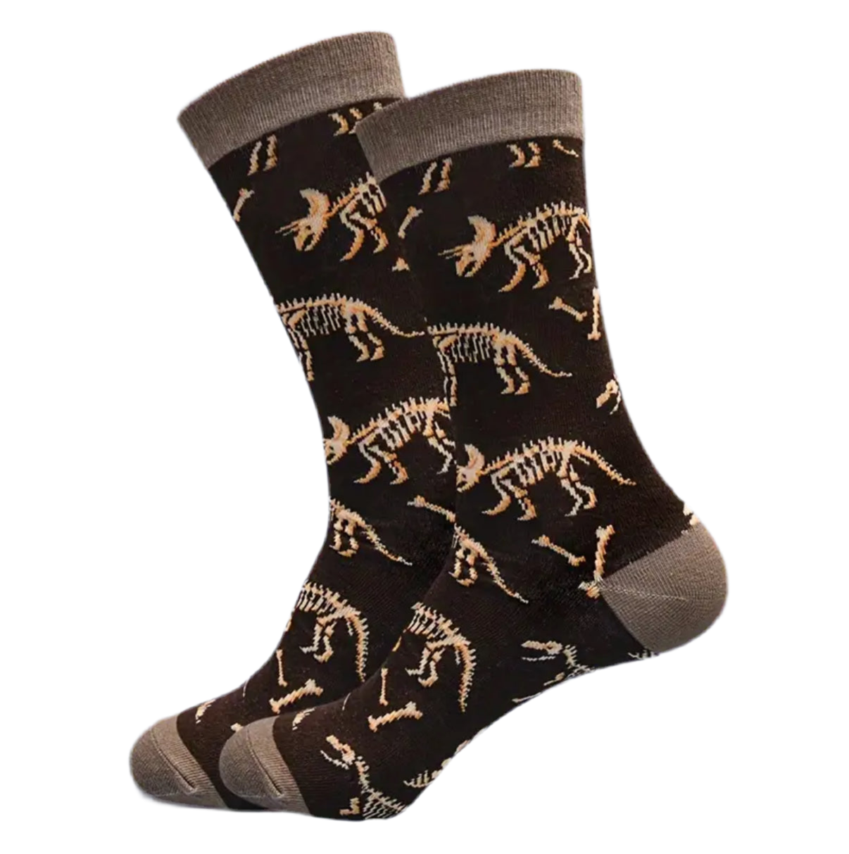 Chaussettes Fossiles de Dinosaures