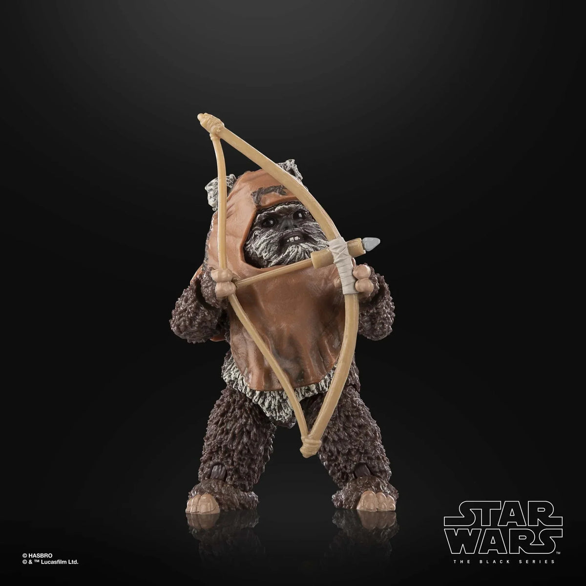 Wicket W. Warrick - The Black Series – vue produit 8