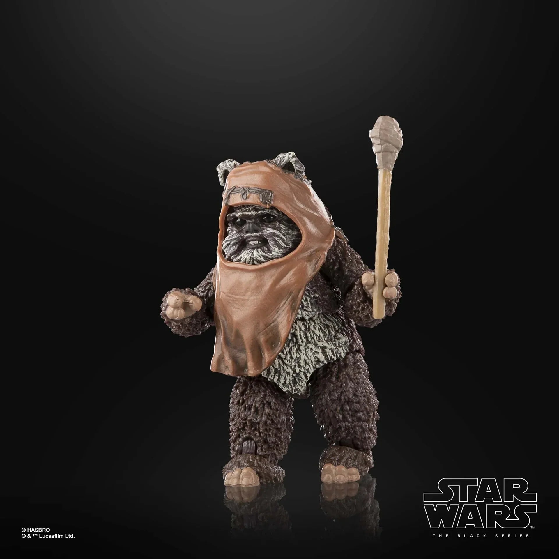Wicket W. Warrick - The Black Series – vue produit 12