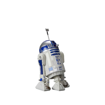 R2-D2 - The Black Series