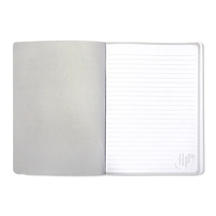 Carnet de notes Harry Potter - Éclair et Lunettes