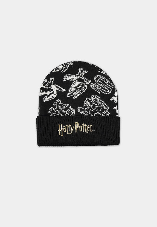 Coffret Bonnet et Echarpe Harry Potter – vue produit 2