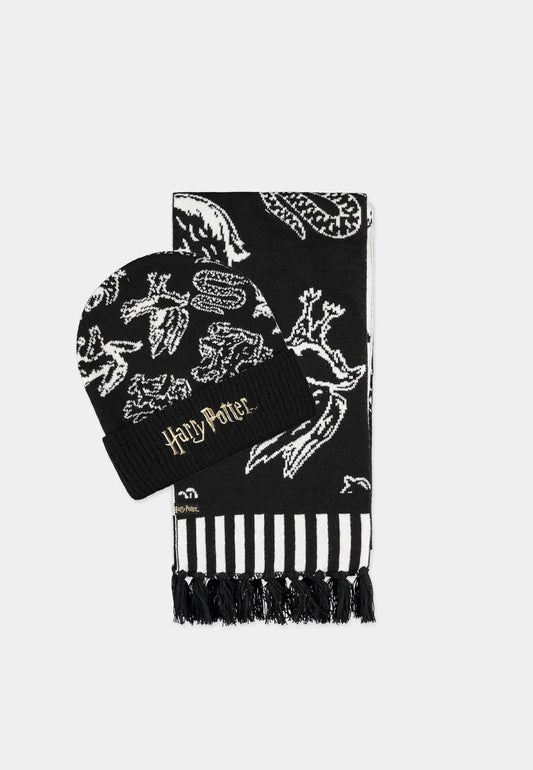 Coffret Bonnet et Echarpe Harry Potter – vue principale
