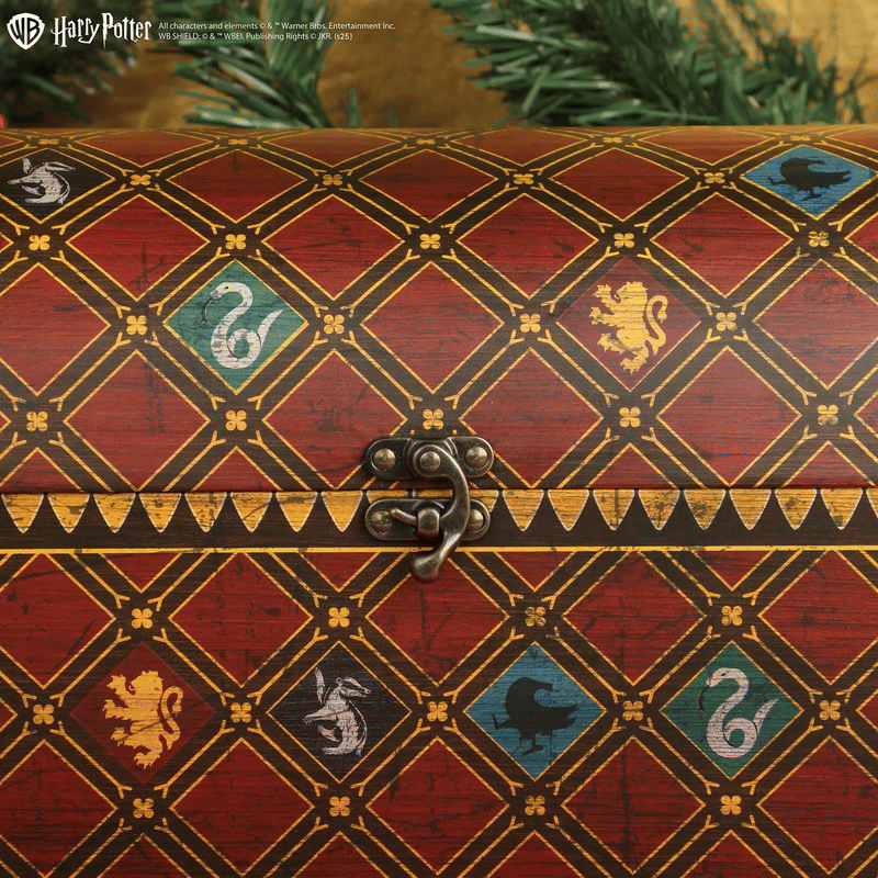 *Calendrier de l'Avent Deluxe Quidditch