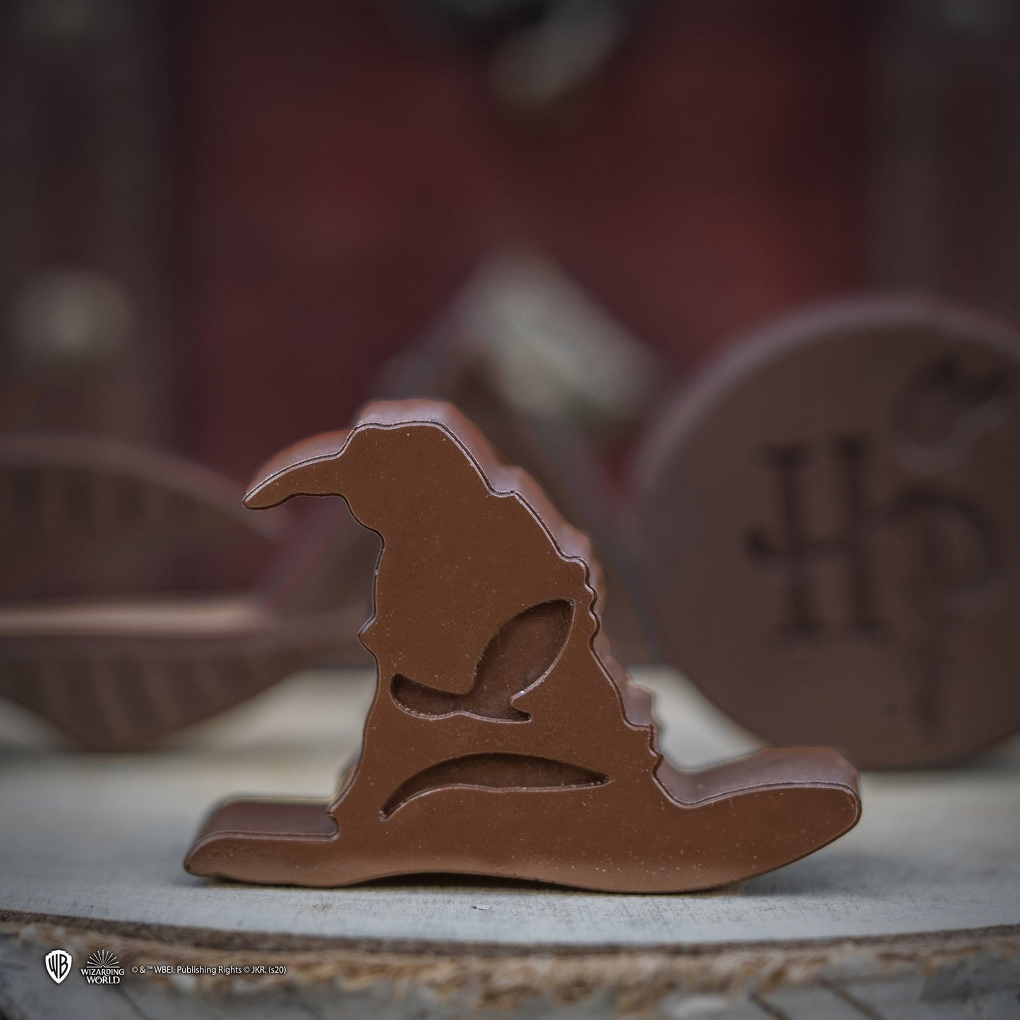 *Moule à chocolat/glaçon Harry Potter Symboles