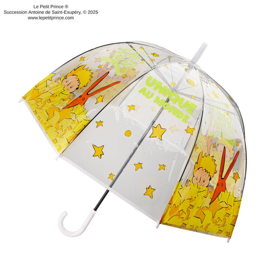 The World's Only Transparent Umbrella