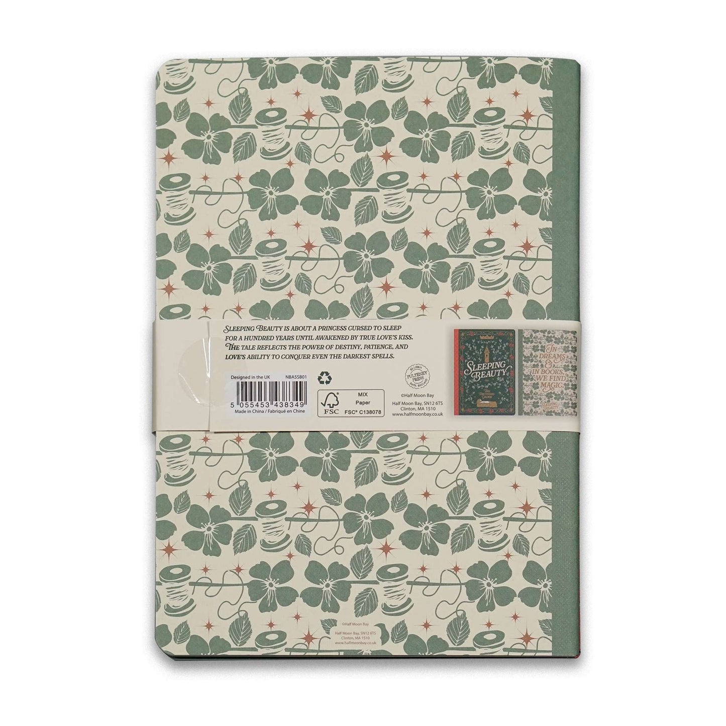 Lot de 2 carnets A5 La Belle au bois dormant