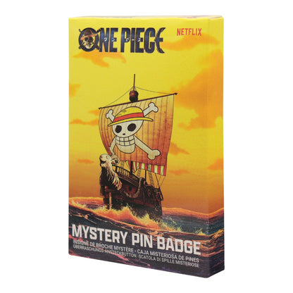 Display de 12 blind boxes One Piece - pin’s mystère - blind box angle