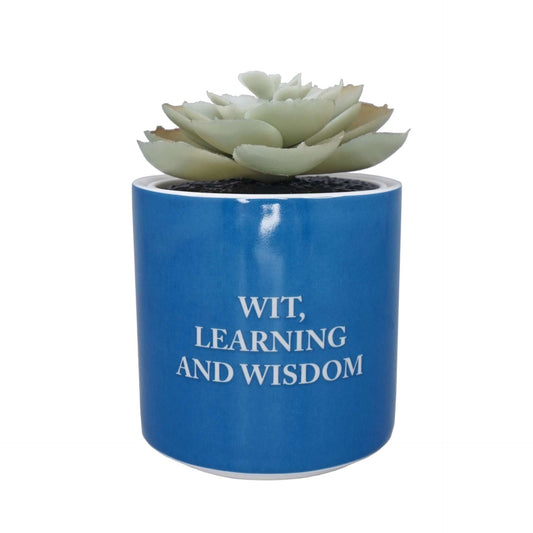 Harry Potter Potted Artificial Plant - Ravenclaw 6.5 cm