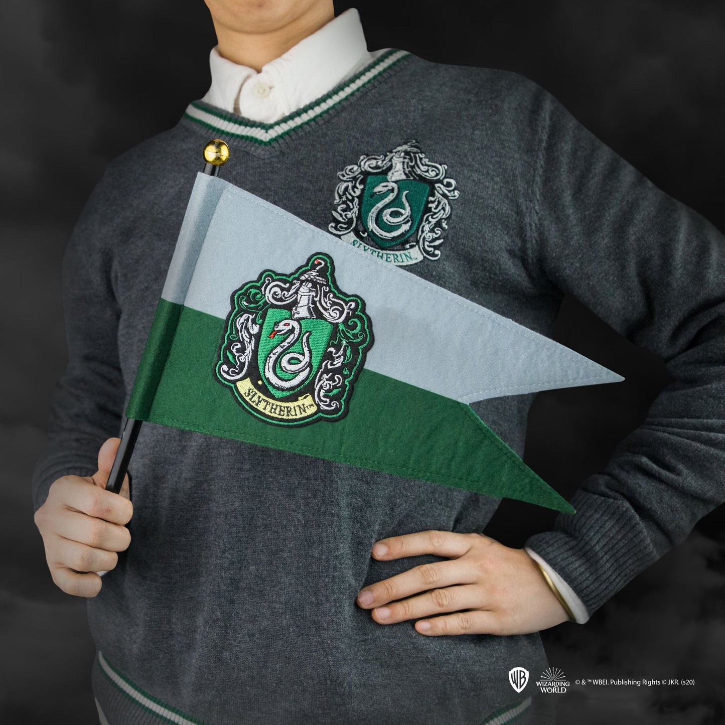 *Drapeau Serpentard