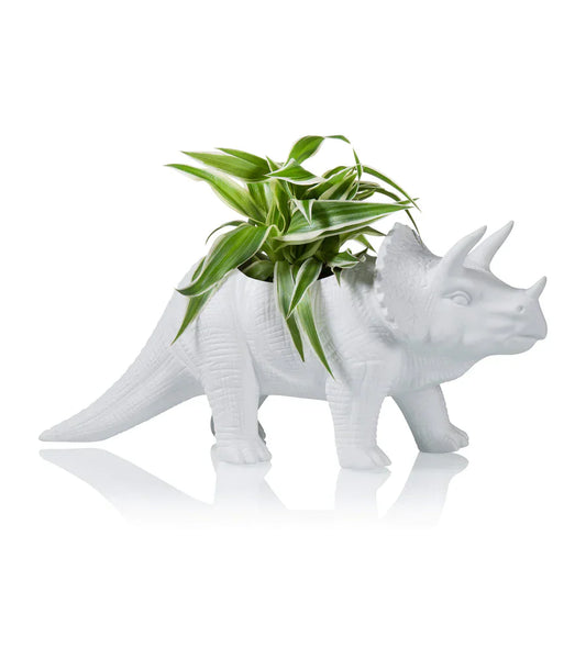 Tricerapot Dinosaur Flower Pot