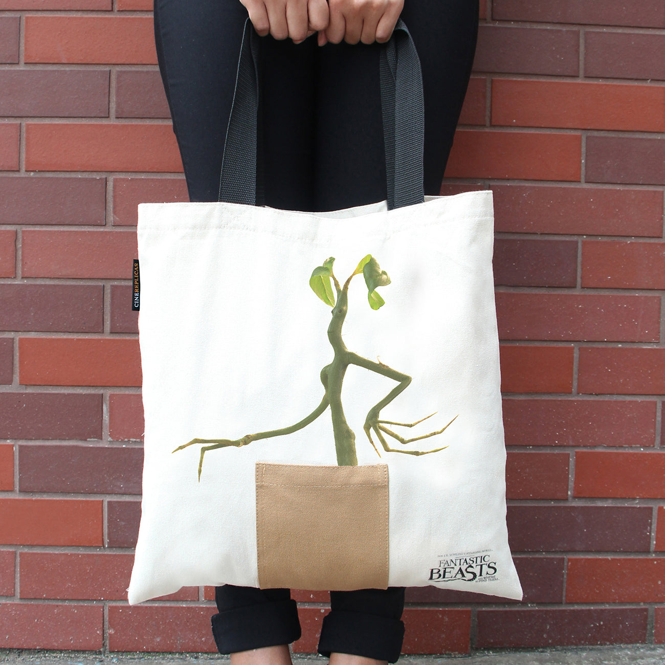 *Tote Bag Pickett le Botruc