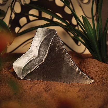 Médaillon collector Les Dents de la Mer - 50th Anniversary Shark ToothMMédaillon collector Les Dents de la Mer - 50th Anniversary Shark ToothéMédaillon collector Les Dents de la Mer - 50th Anniversary Shark ToothdMédaillon collector Les Dents de la Mer - 50th Anniversary Shark ToothaMédaillon collector Les Dents de la Mer - 50th Anniversary Shark ToothiMédaillon collector Les Dents de la Mer - 50th Anniversary Shark ToothlMédaillon collector Les Dents de la Mer - 50th Anniversary Shark ToothlMédaillon colle