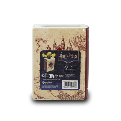 Harry Potter ceramic book plant pot - Marauder's Map 14 cm