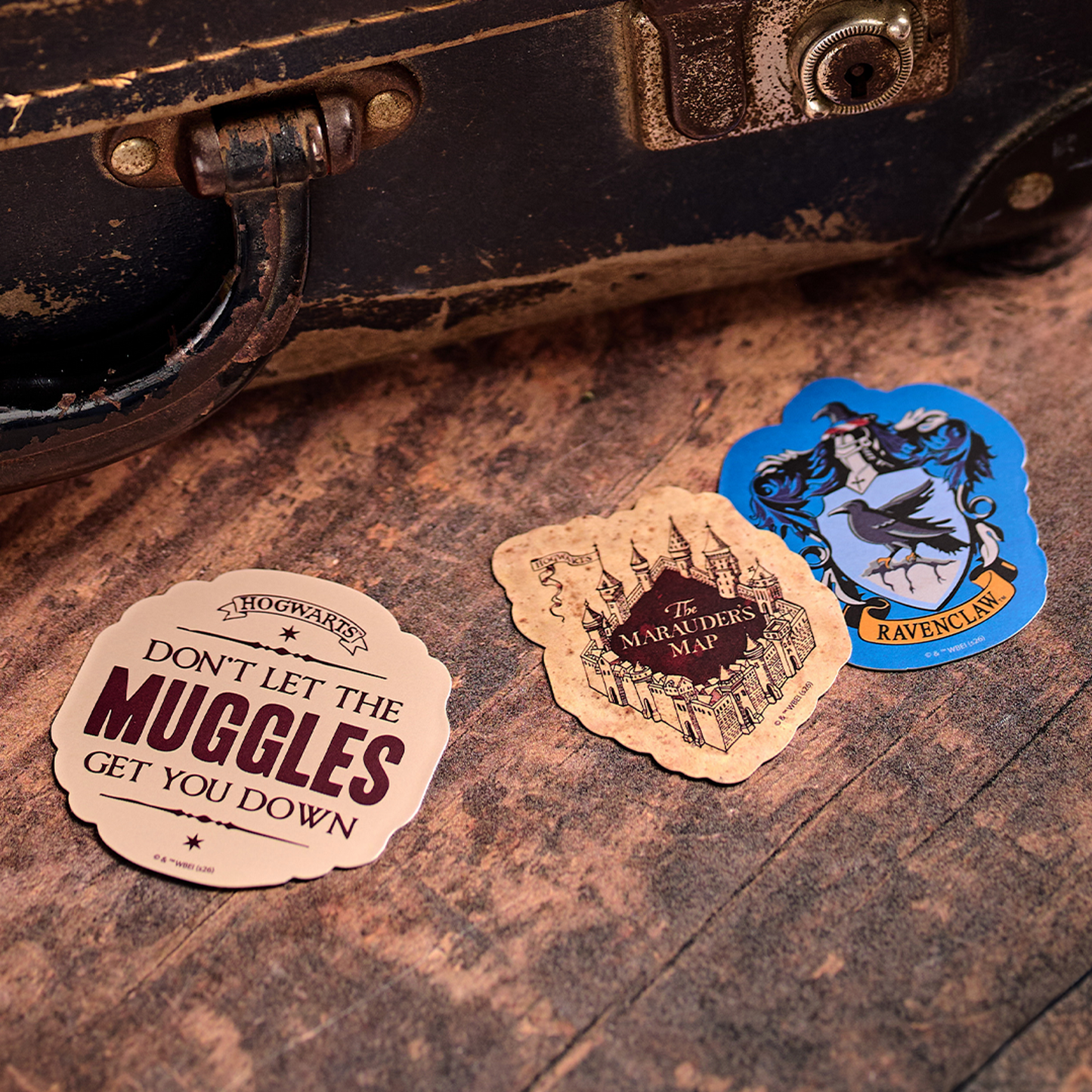 Harry Potter Vinyl Sticker - Don't let the Muggles