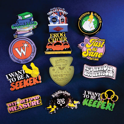 Display de 12 blind boxes Harry Potter - pin’s mystère - mise en situation 1
