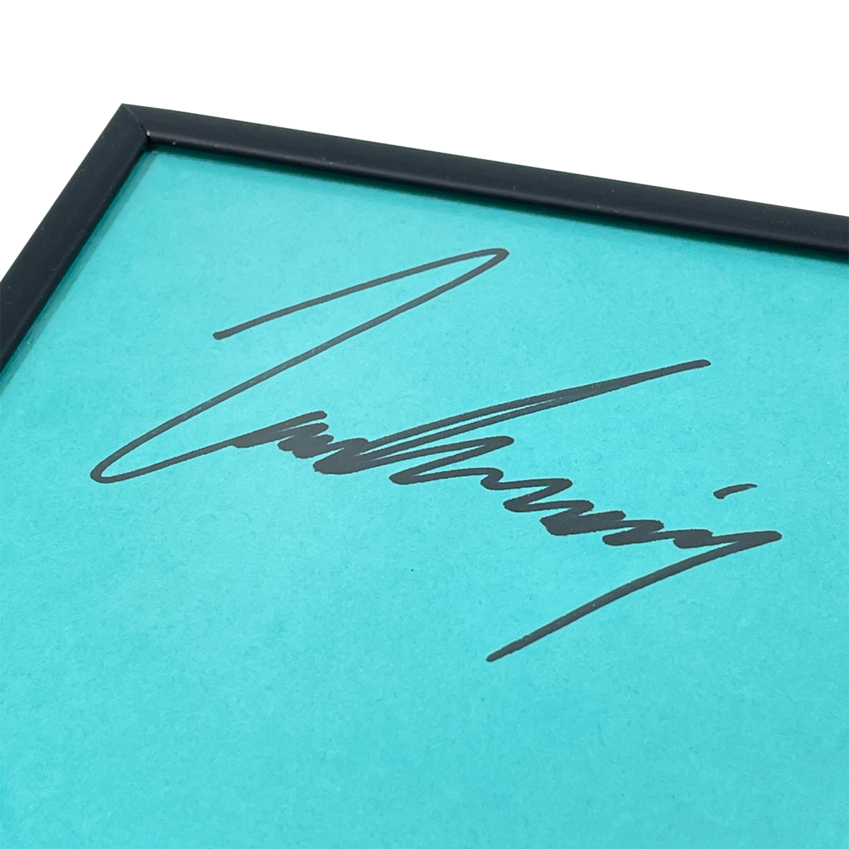 Ludwig Print