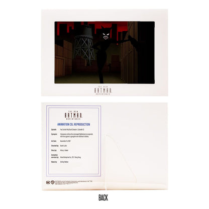 catwoman the new batman adventures mcfarlane toys